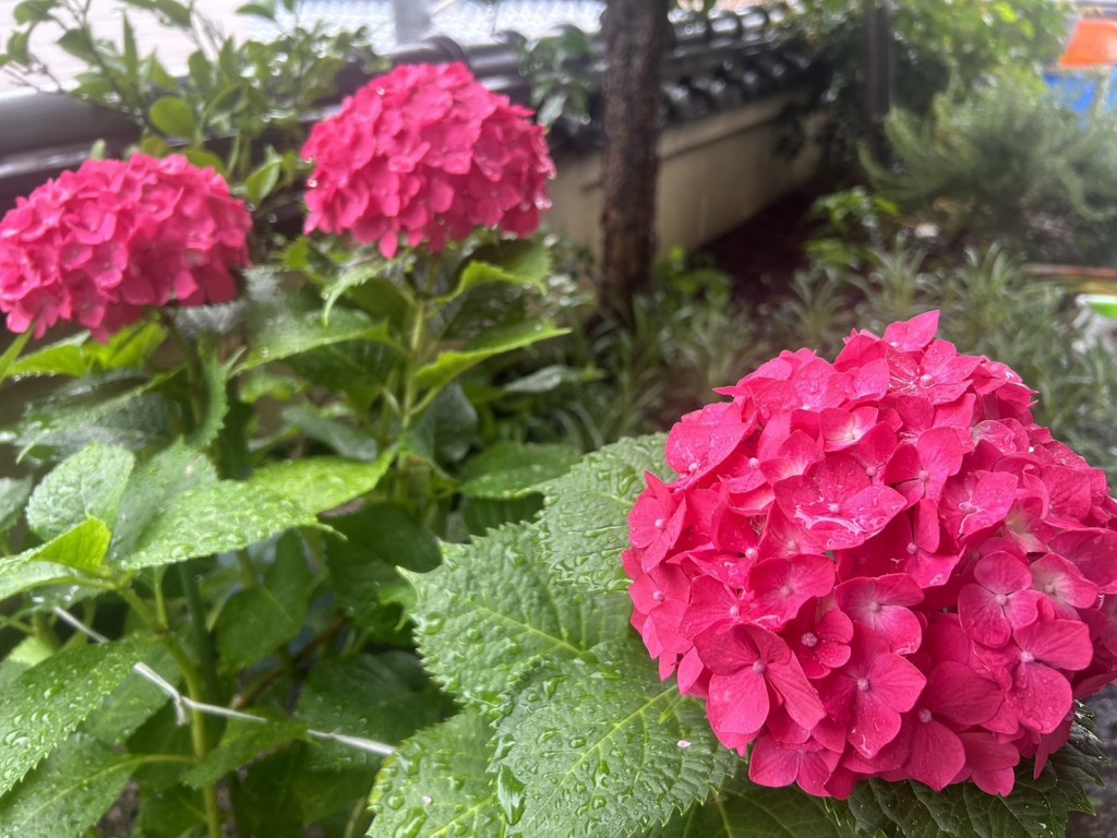 S__34005200_0